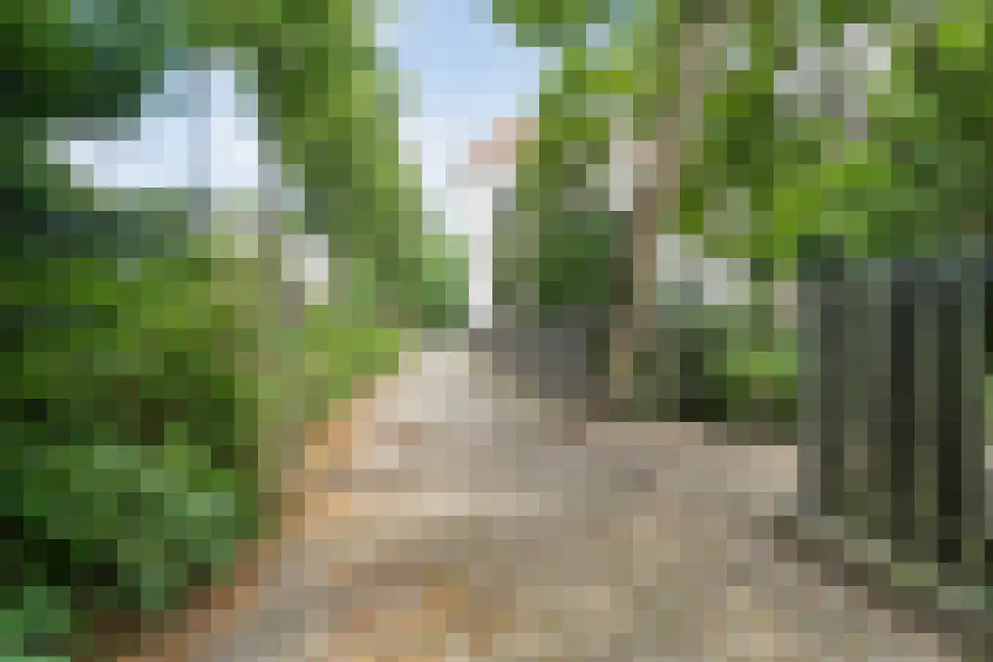 Potgietersingel 6 Zwolle thumbnail 58