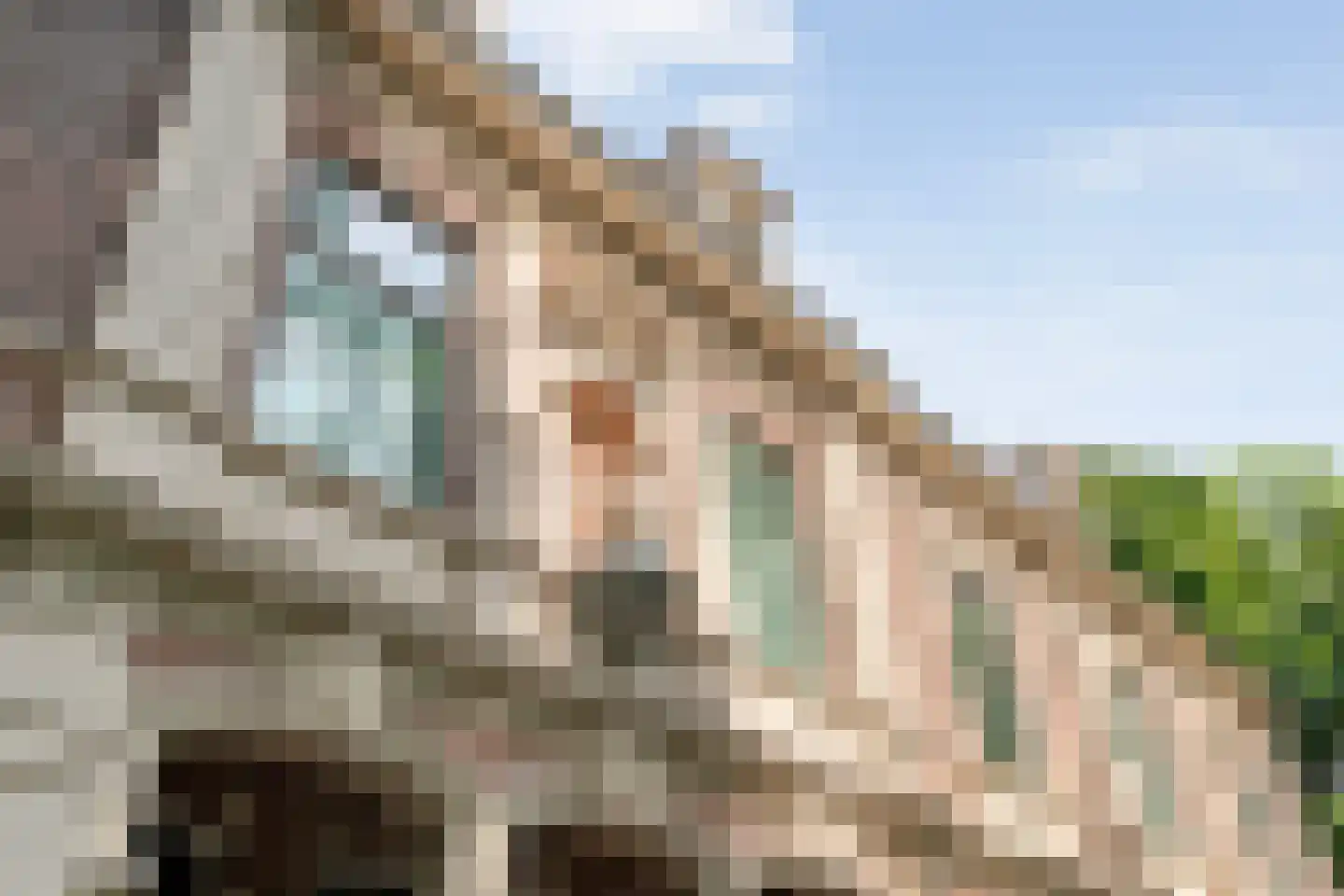 Potgietersingel 6 Zwolle thumbnail 6