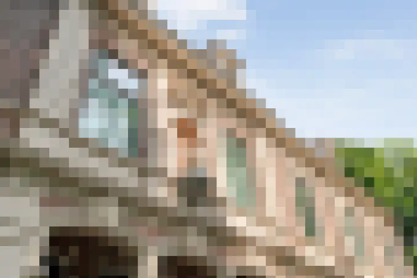 Potgietersingel 6 Zwolle thumbnail 6