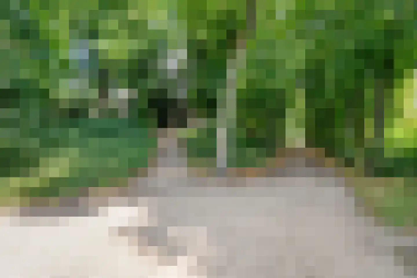 Potgietersingel 6 Zwolle thumbnail 60