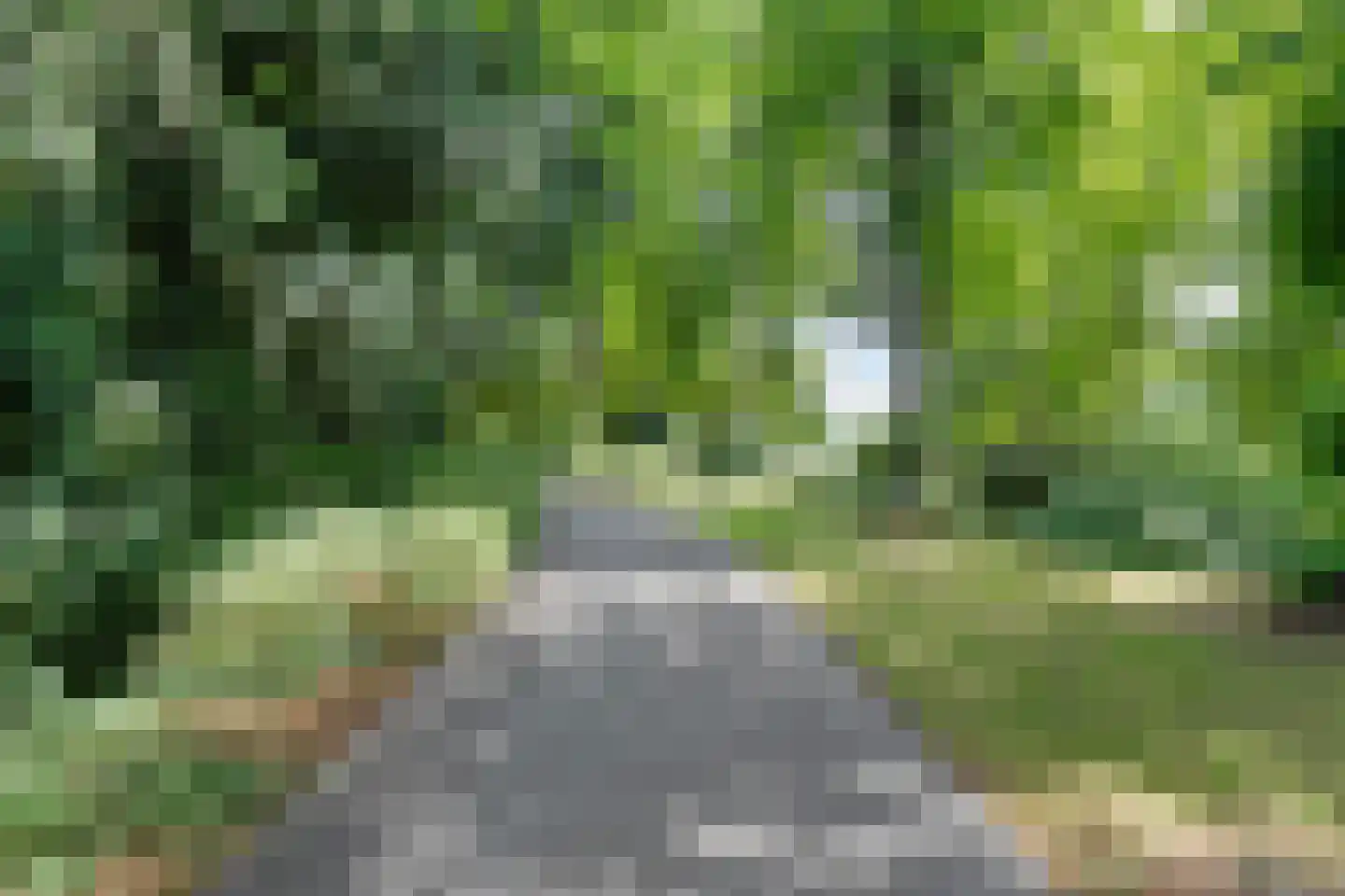 Potgietersingel 6 Zwolle thumbnail 61
