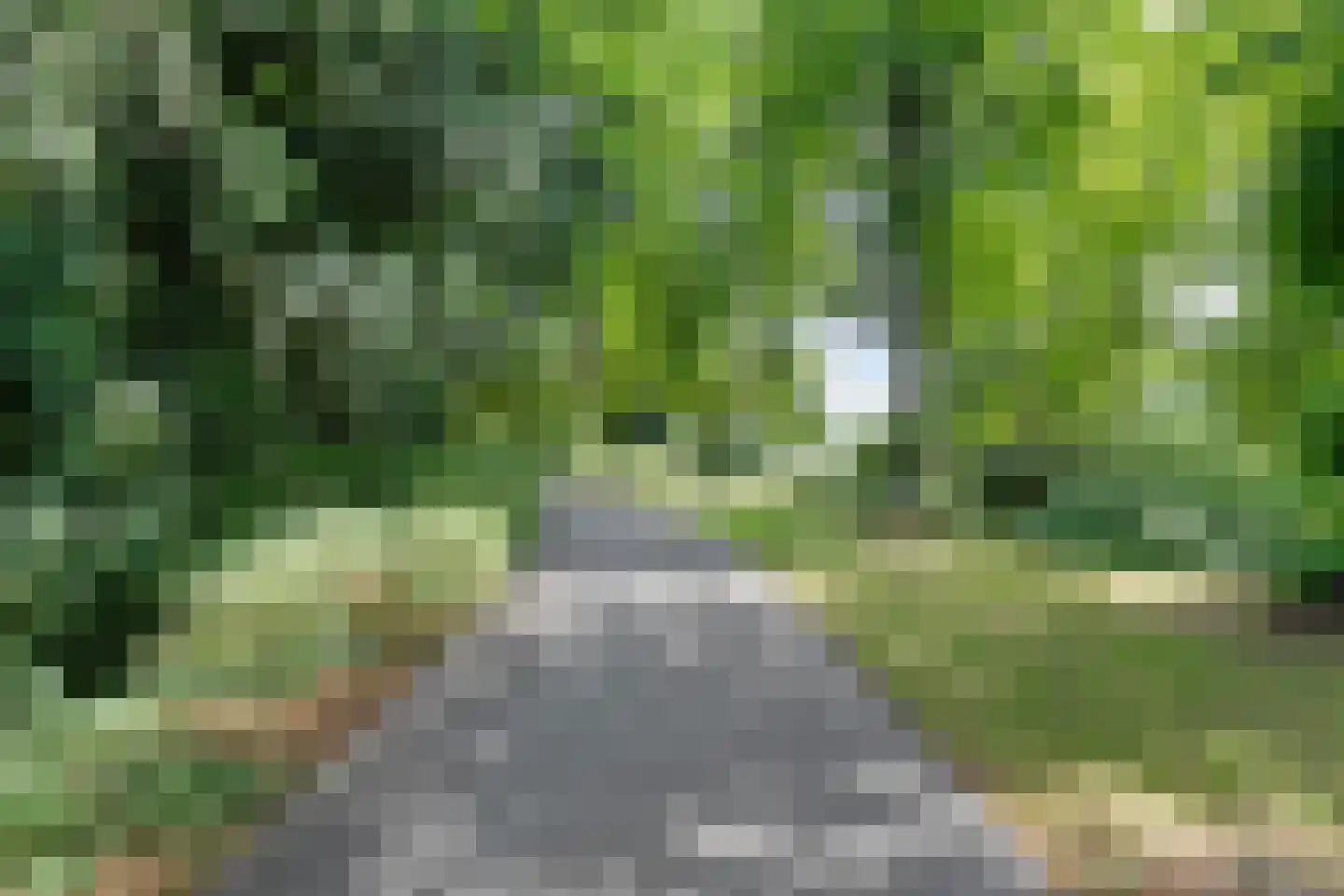 Potgietersingel 6 Zwolle thumbnail 61