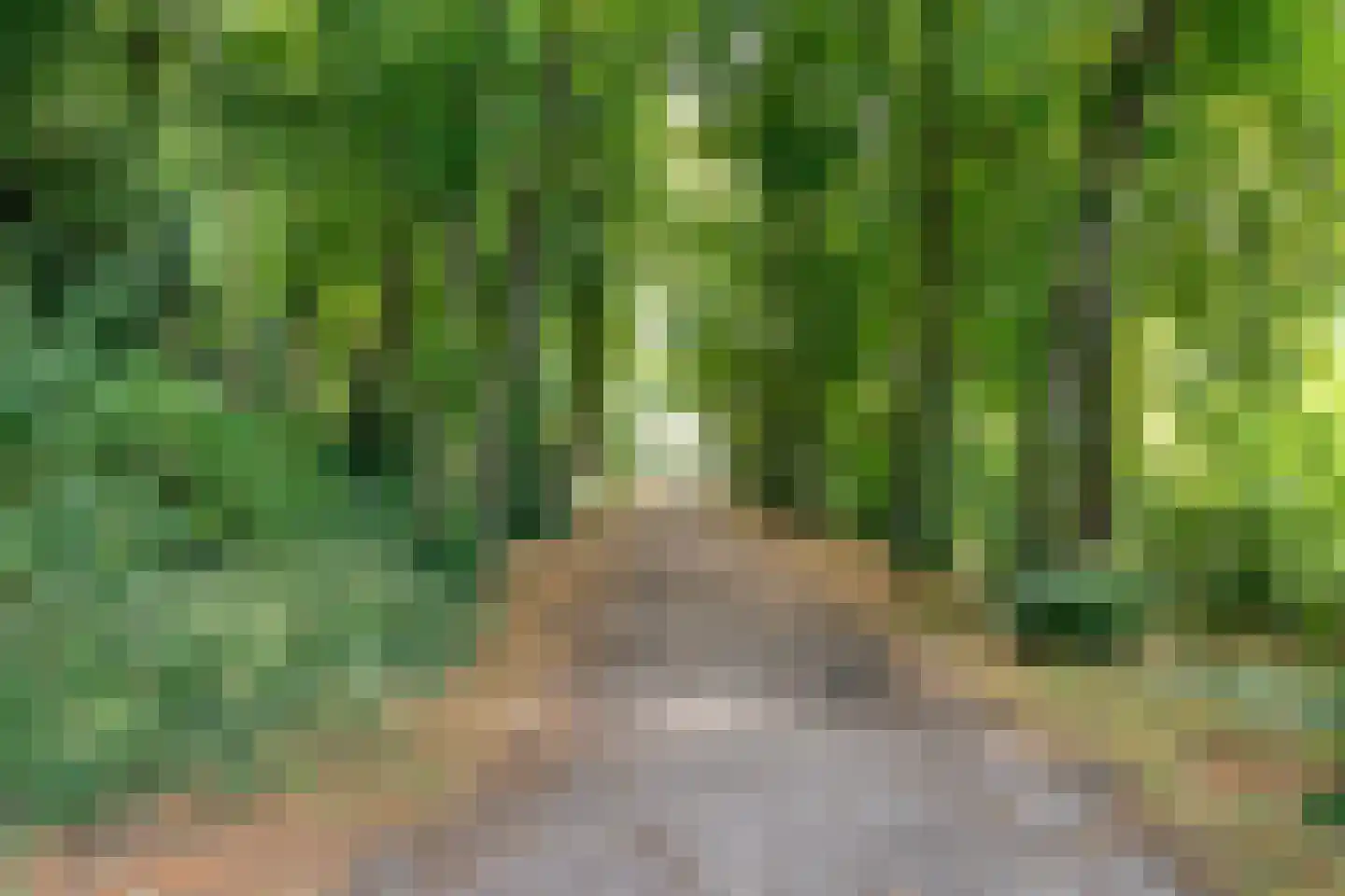 Potgietersingel 6 Zwolle thumbnail 62