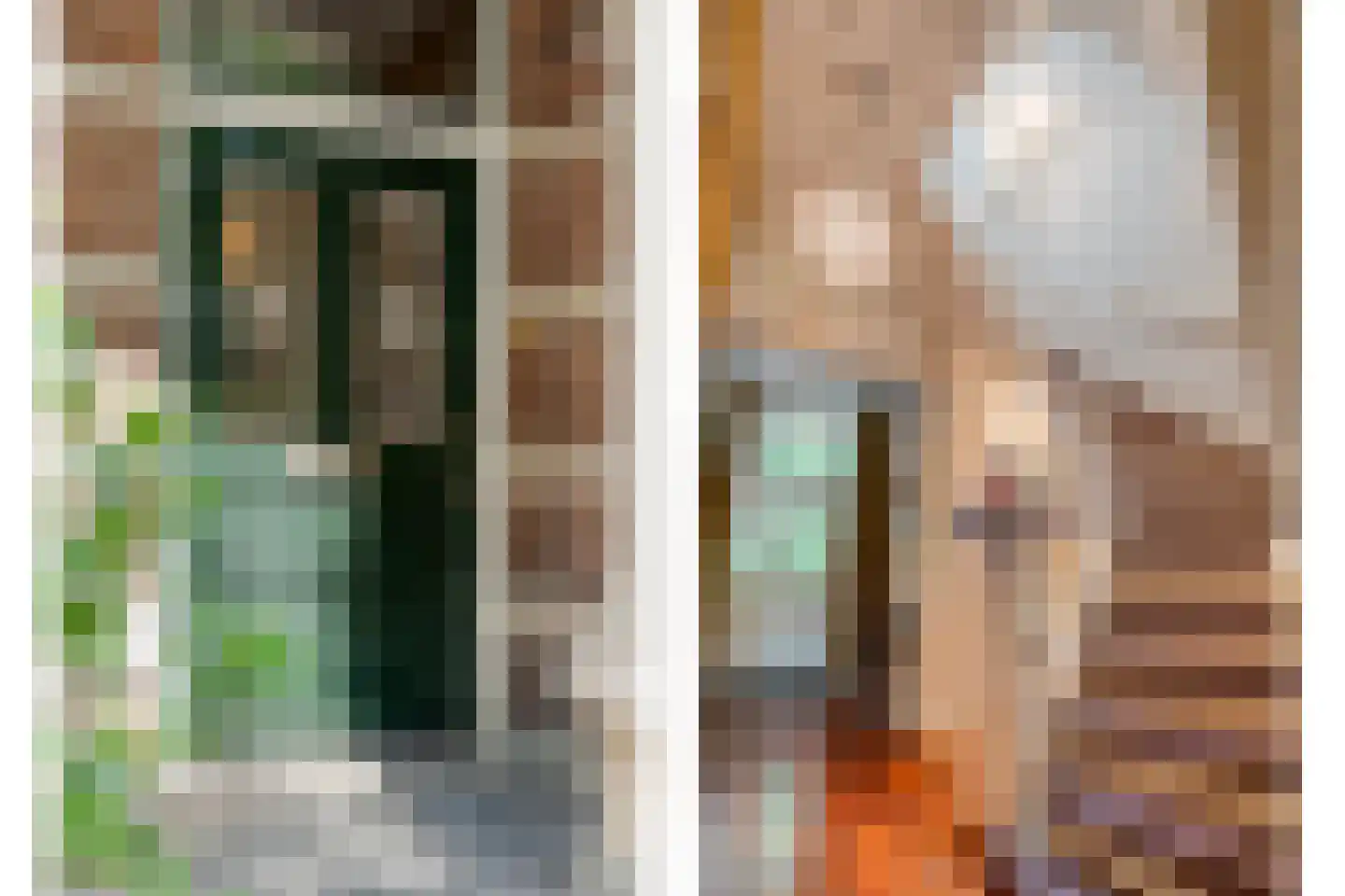 Potgietersingel 6 Zwolle thumbnail 8