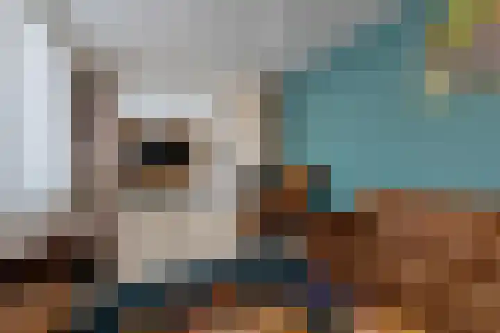 Potgieterstraat 1 Waddinxveen thumbnail 10