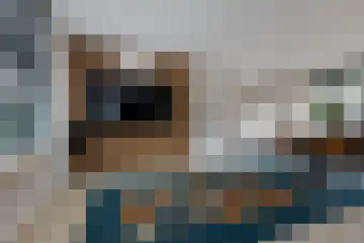 Potgieterstraat 1 Waddinxveen thumbnail 11