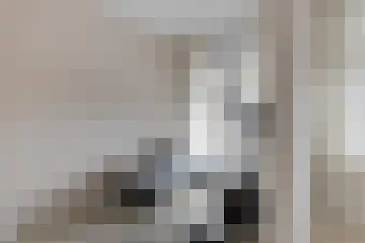 Potgieterstraat 1 Waddinxveen thumbnail 13