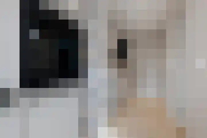 Potgieterstraat 1 Waddinxveen thumbnail 16