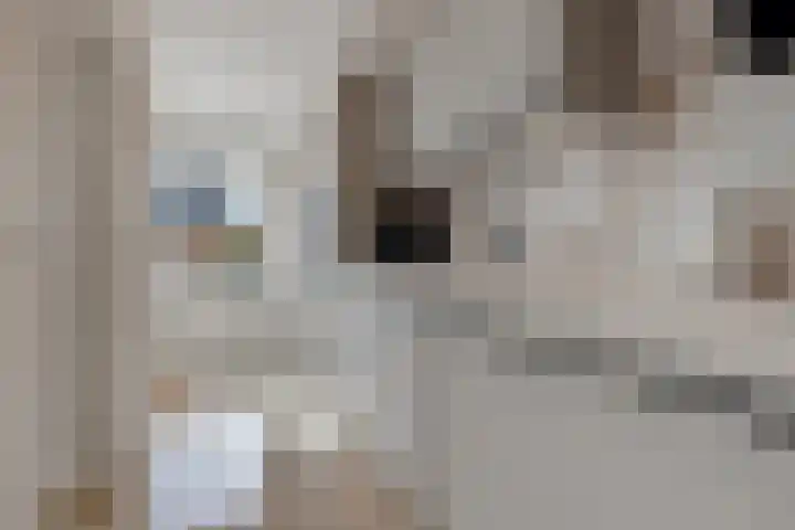Potgieterstraat 1 Waddinxveen thumbnail 17