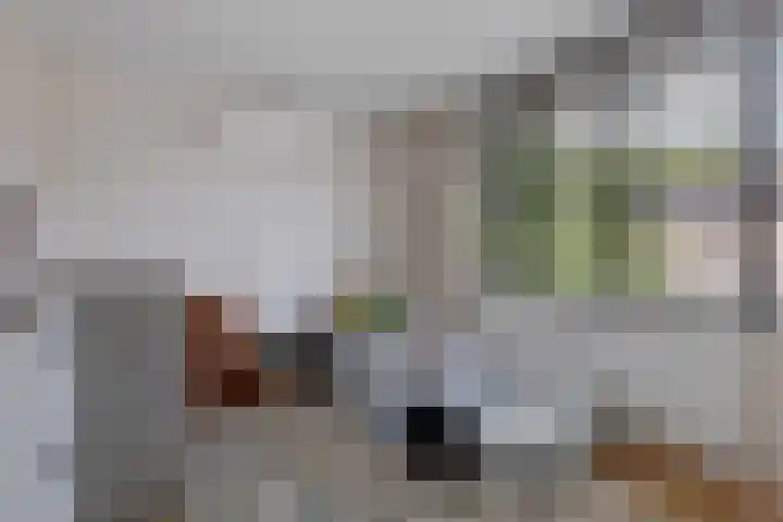 Potgieterstraat 1 Waddinxveen thumbnail 22