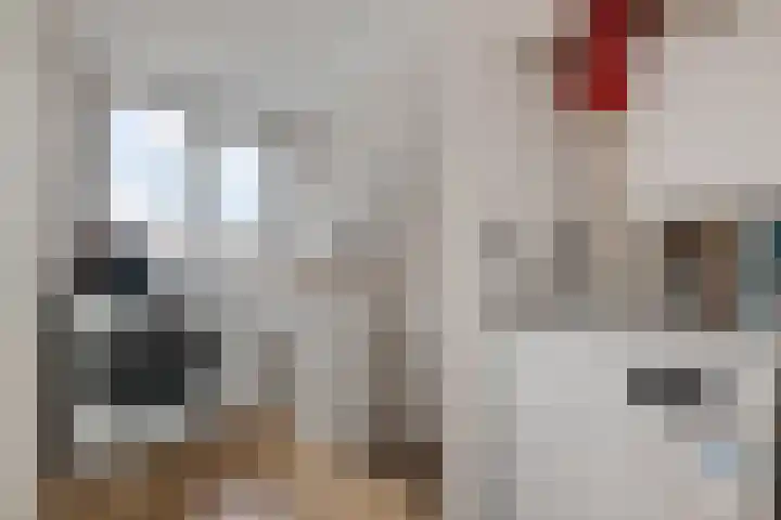 Potgieterstraat 1 Waddinxveen thumbnail 27