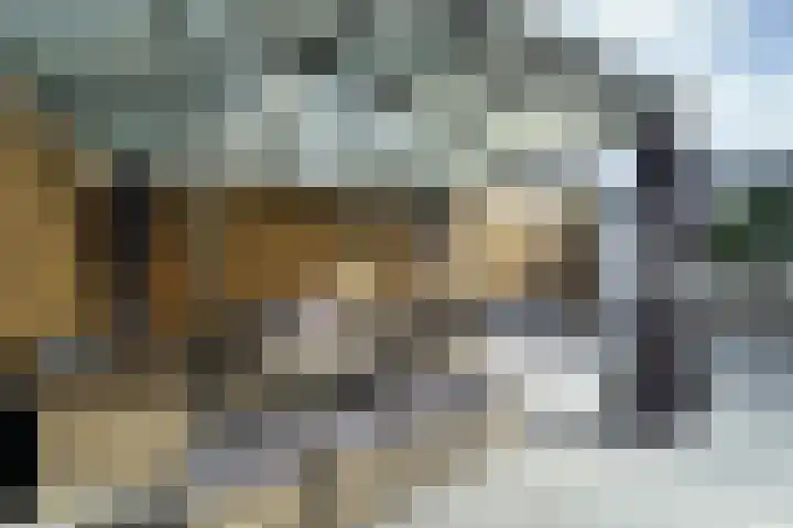 Potgieterstraat 1 Waddinxveen thumbnail 34
