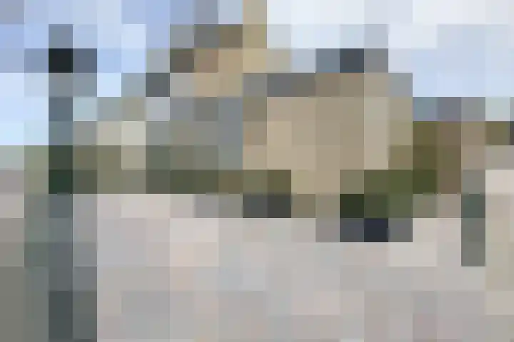 Potgieterstraat 1 Waddinxveen thumbnail 40