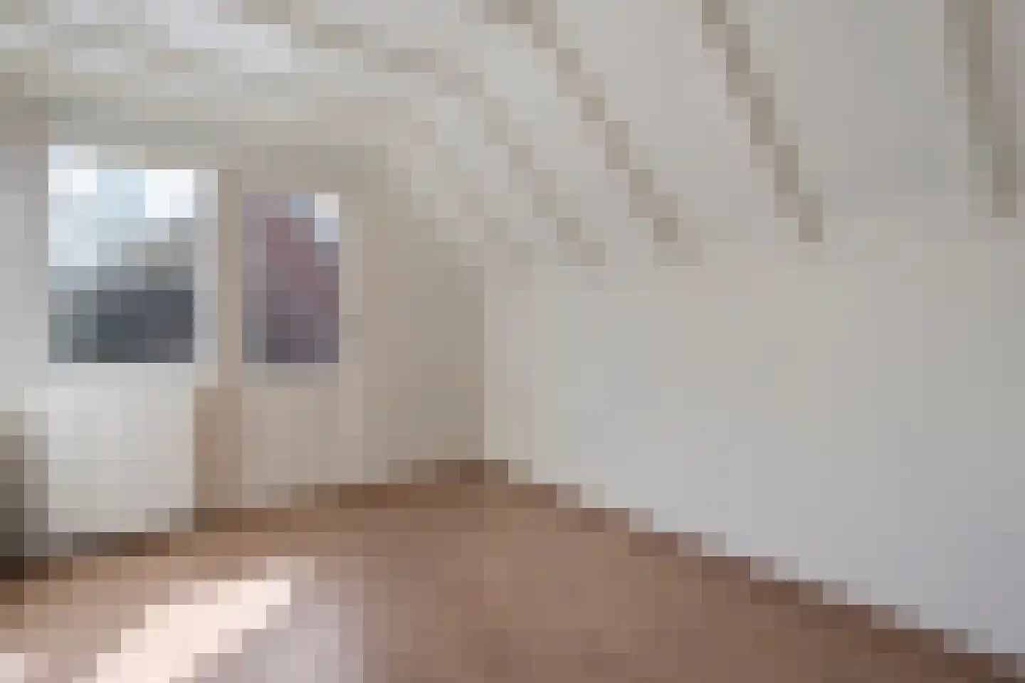 Potgieterstraat 11 Tubbergen thumbnail 12