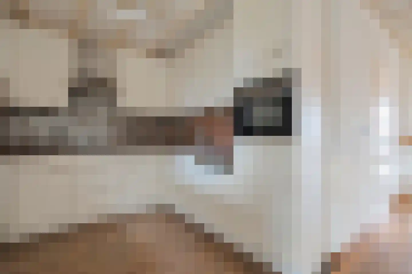 Potgieterstraat 11 Tubbergen thumbnail 6