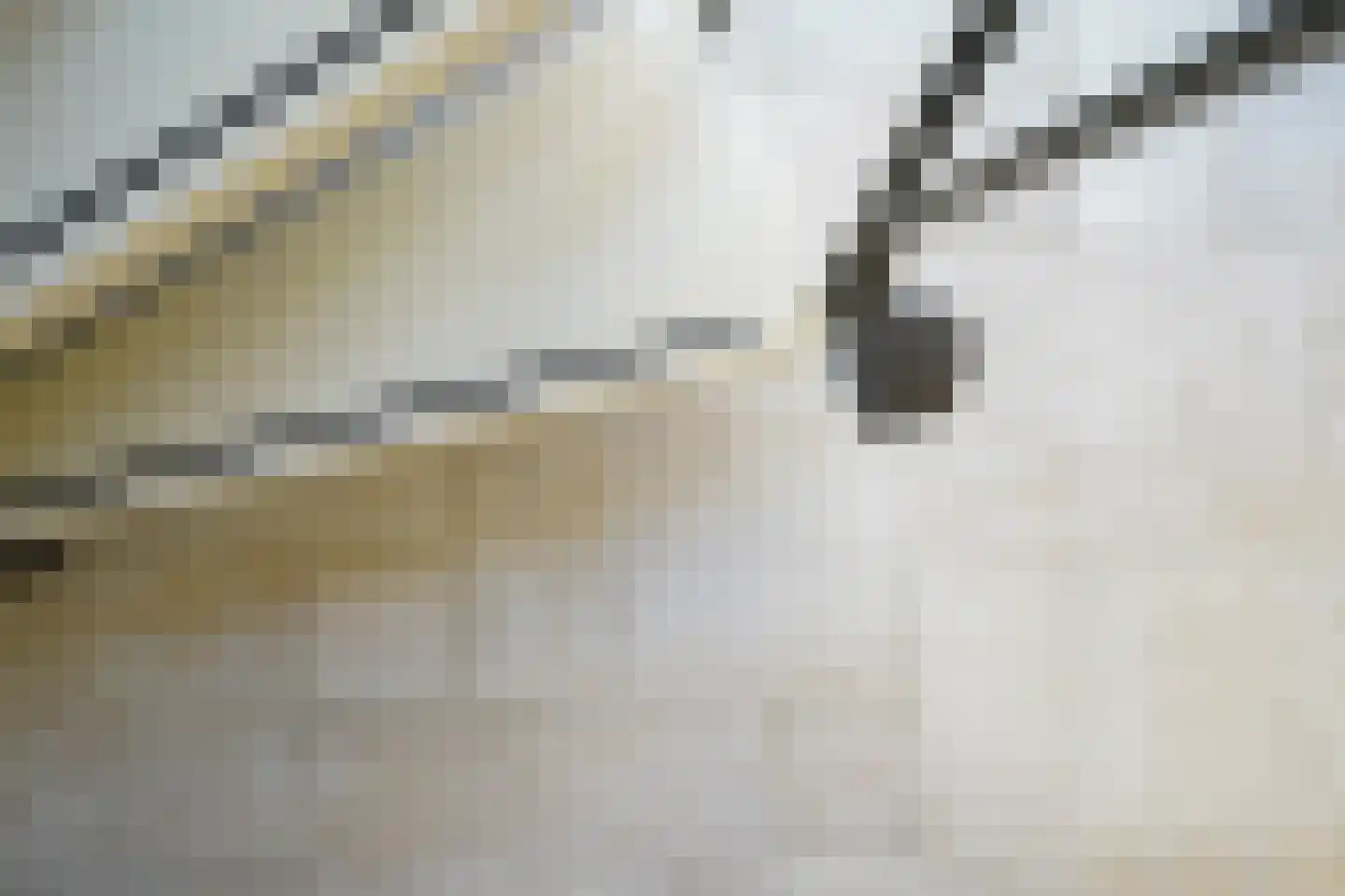 Potgieterstraat 12 Putten thumbnail 5