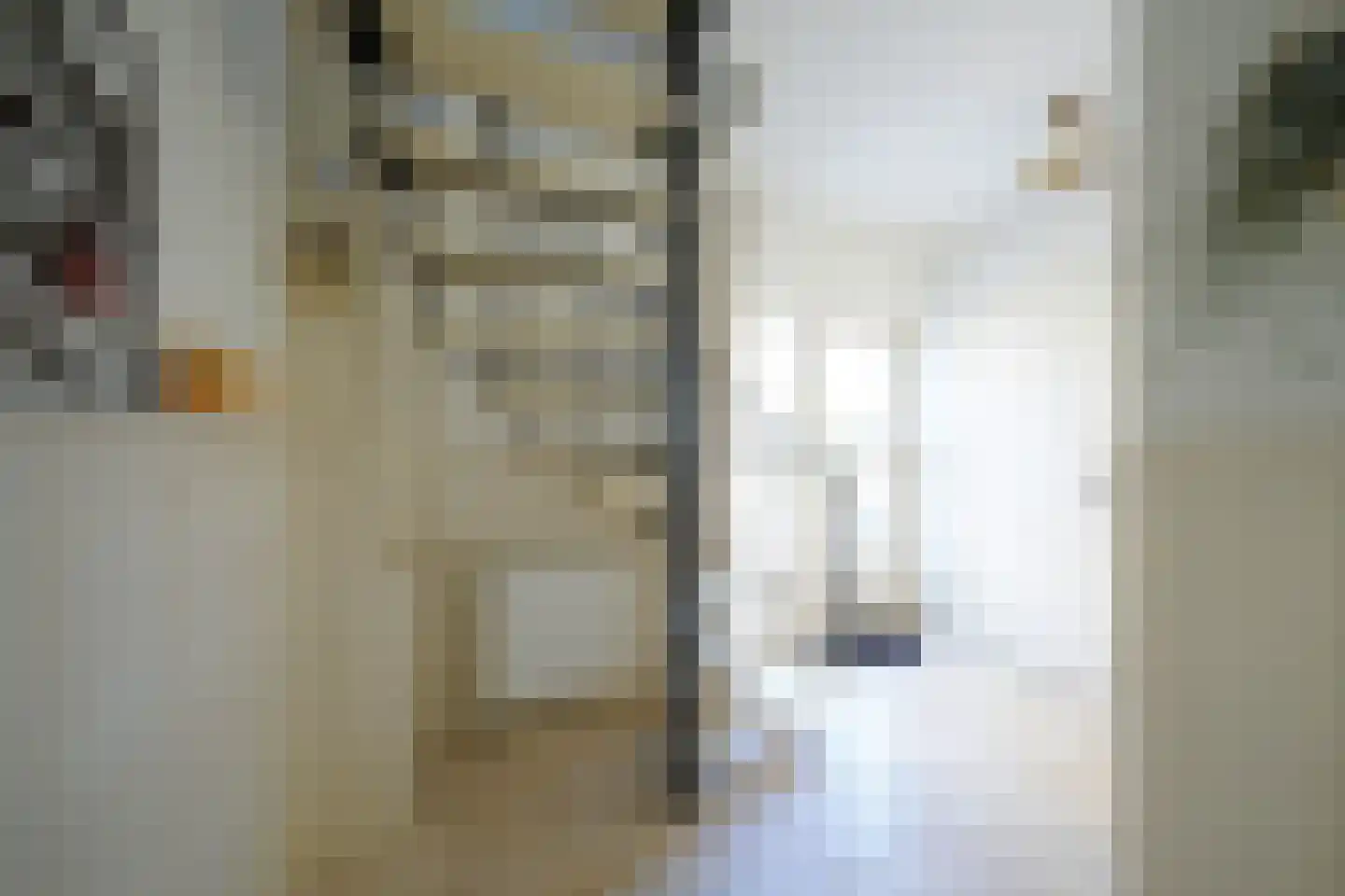 Potgieterstraat 12 Putten thumbnail 7