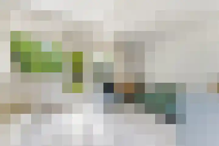 Potgieterstraat 13 Alblasserdam thumbnail 6