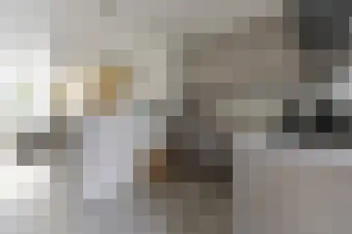 Potgieterstraat 13 Waalwijk thumbnail 11