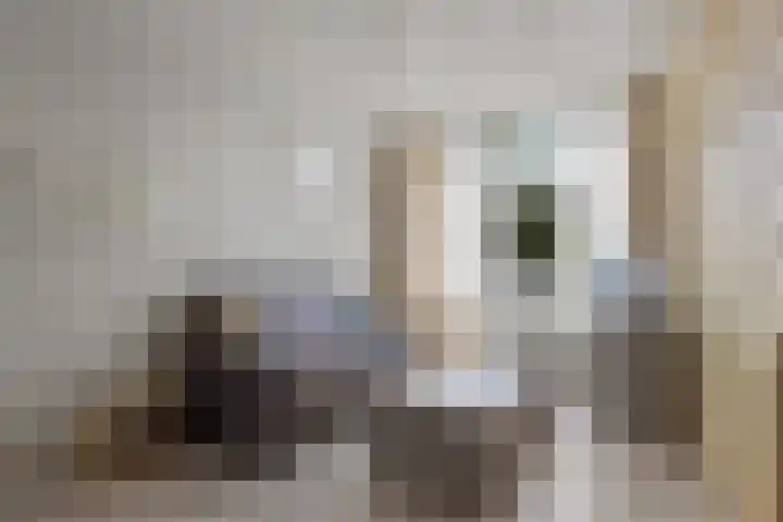 Potgieterstraat 13 Waalwijk thumbnail 6
