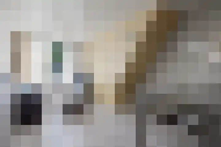 Potgieterstraat 13 Waalwijk thumbnail 7