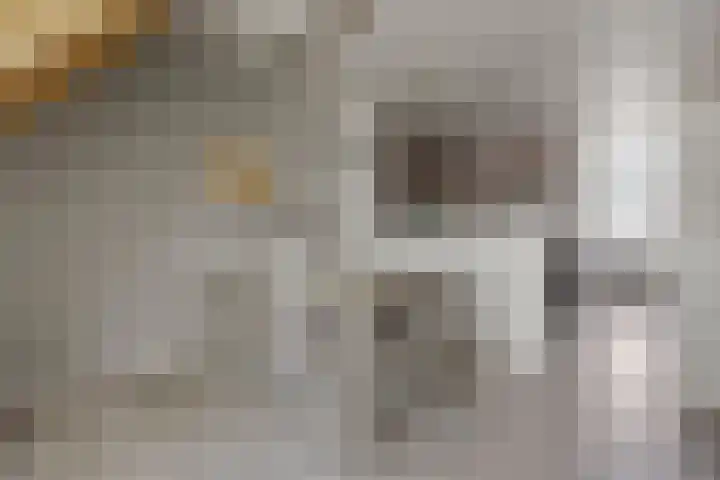 Potgieterstraat 13 Waalwijk thumbnail 8