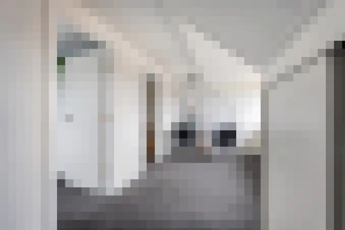 Potgieterstraat 14 a Tubbergen thumbnail 19