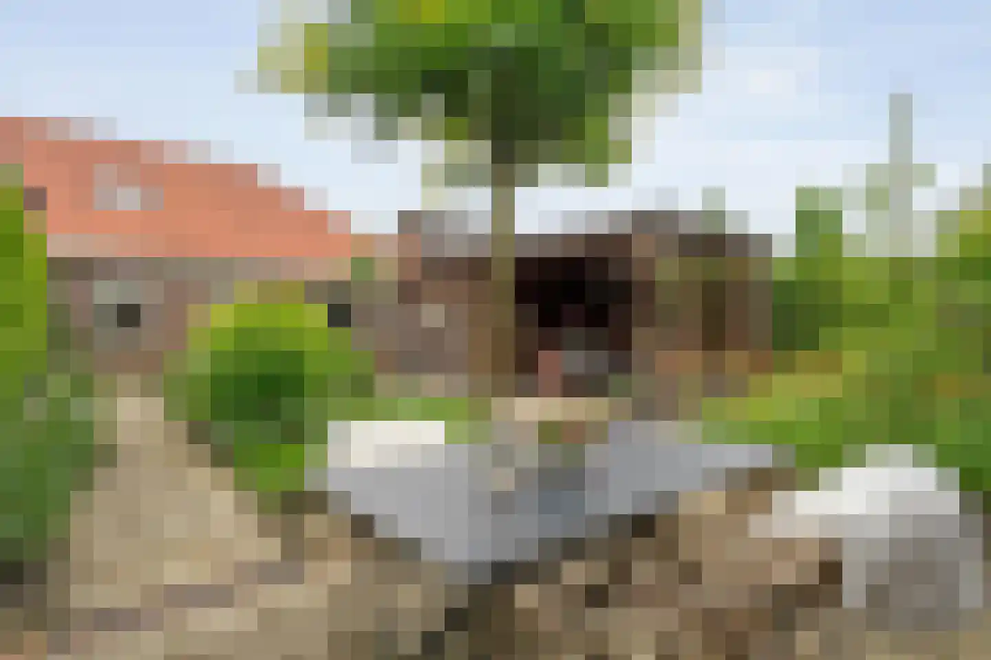 Potgieterstraat 14 a Tubbergen thumbnail 22