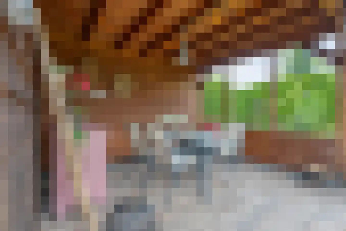 Potgieterstraat 14 a Tubbergen thumbnail 24