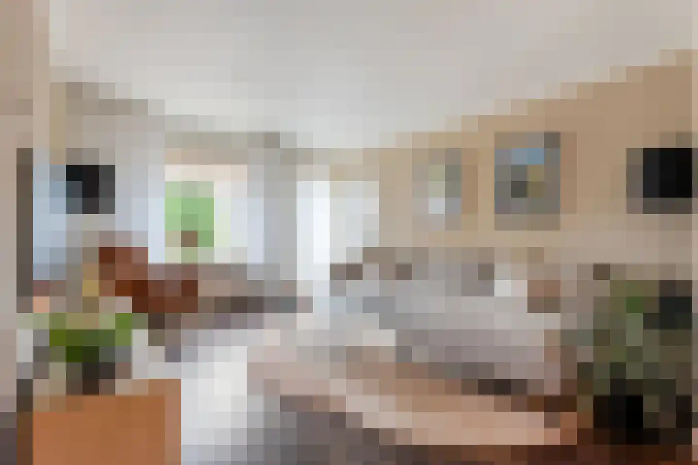 Potgieterstraat 14 a Tubbergen thumbnail 6