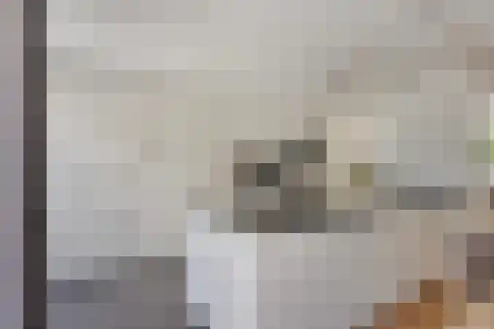 Potgieterstraat 15 Vaassen thumbnail 12
