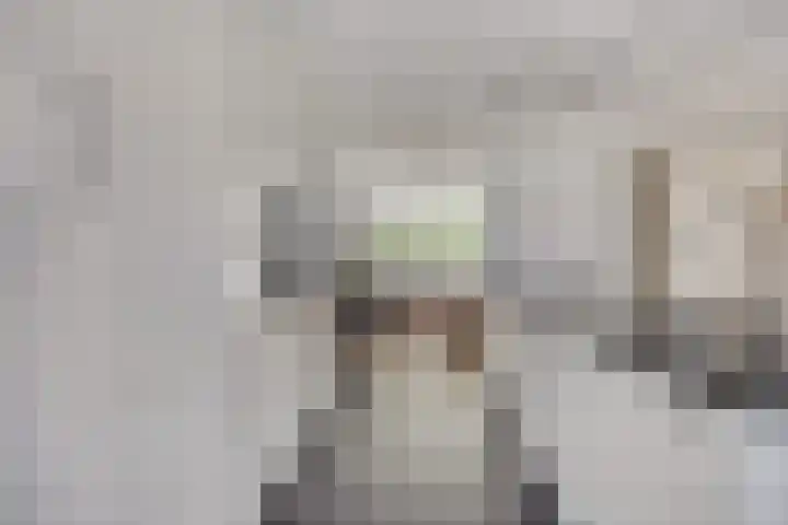 Potgieterstraat 15 Vaassen thumbnail 13