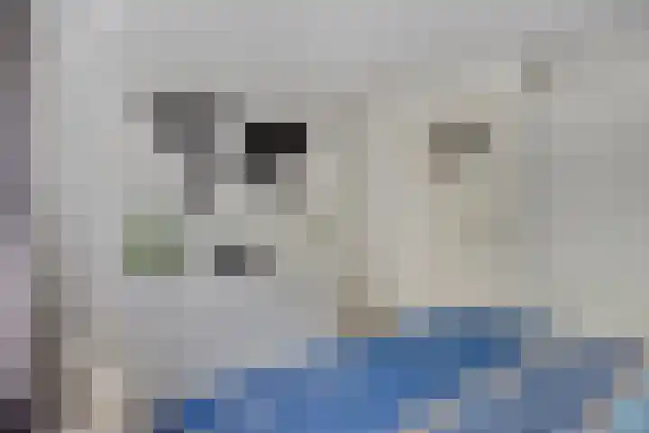 Potgieterstraat 15 Vaassen thumbnail 20