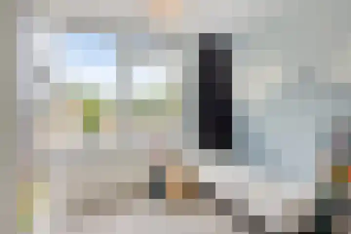 Potgieterstraat 15 Vaassen thumbnail 24