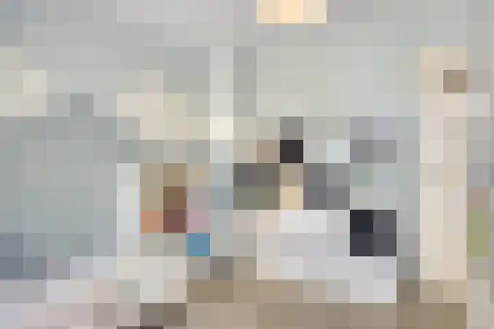 Potgieterstraat 15 Vaassen thumbnail 25
