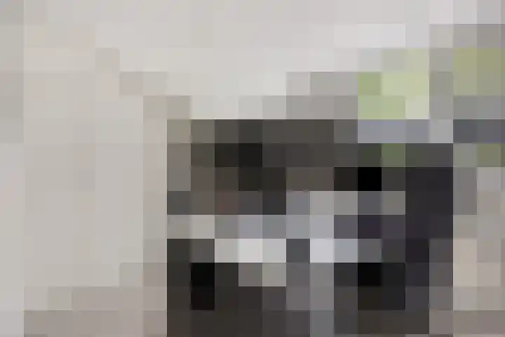 Potgieterstraat 15 Vaassen thumbnail 31
