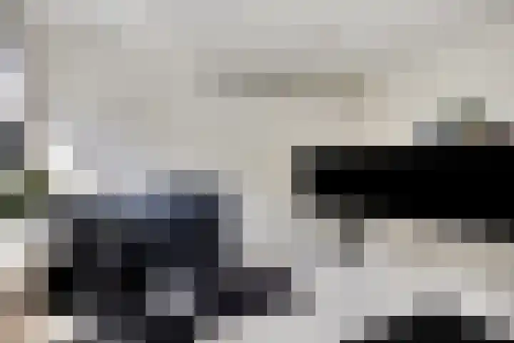 Potgieterstraat 15 Vaassen thumbnail 32