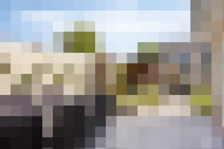 Potgieterstraat 15 Vaassen thumbnail 33