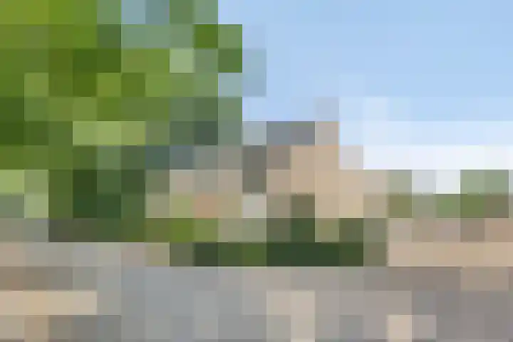 Potgieterstraat 15 Vaassen thumbnail 36