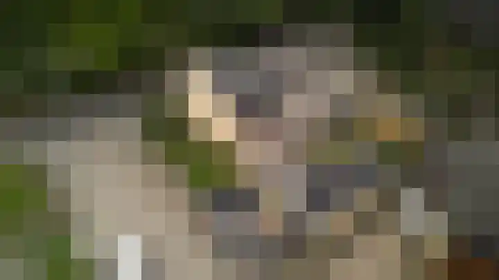 Potgieterstraat 15 Vaassen thumbnail 38