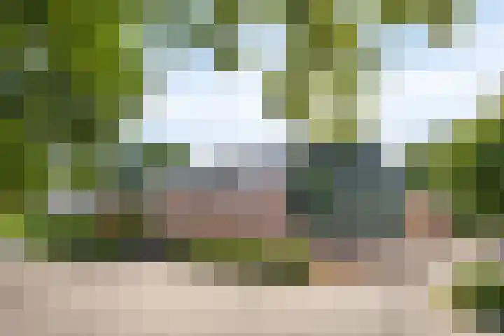 Potgieterstraat 15 Vaassen thumbnail 39