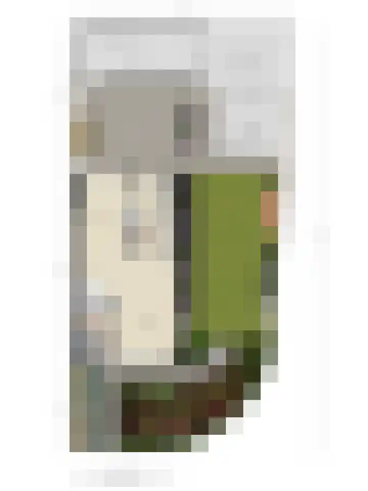 Potgieterstraat 15 Vaassen thumbnail 42