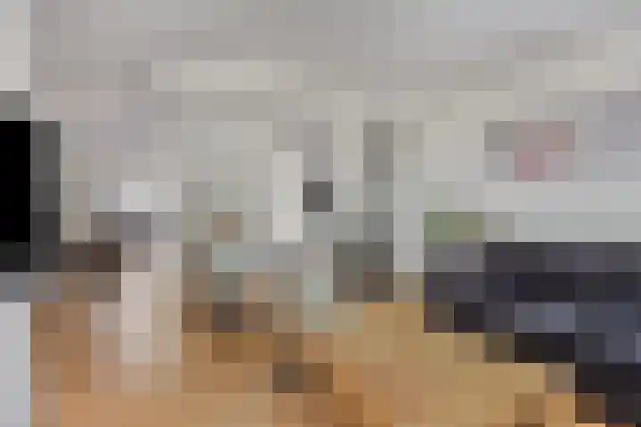 Potgieterstraat 15 Vaassen thumbnail 6