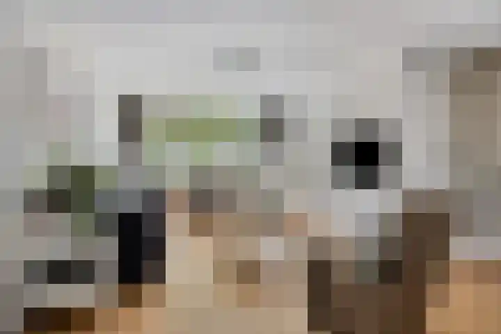 Potgieterstraat 15 Vaassen thumbnail 7
