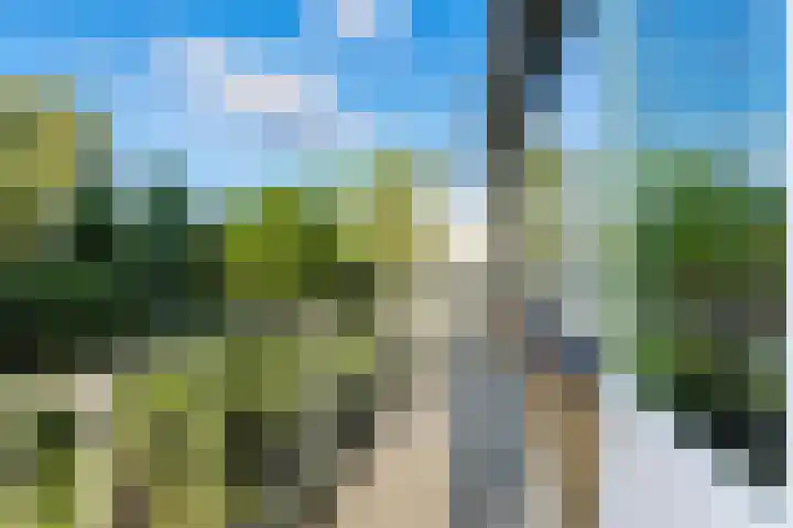 Potgieterstraat 17 Alblasserdam thumbnail 5