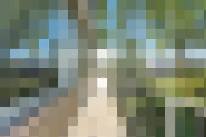 Potgieterstraat 17 Alblasserdam thumbnail 7