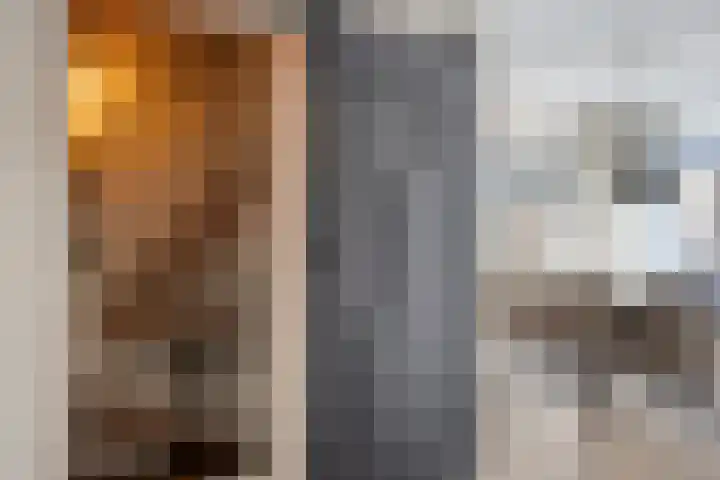 Potgieterstraat 17 Vaassen thumbnail 11