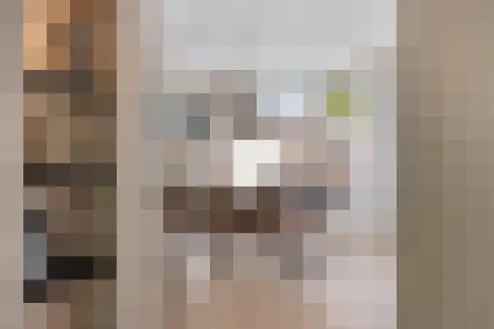 Potgieterstraat 17 Vaassen thumbnail 12