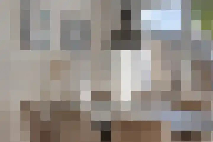 Potgieterstraat 17 Vaassen thumbnail 14