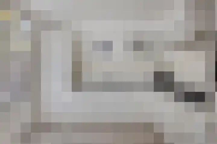 Potgieterstraat 17 Vaassen thumbnail 18